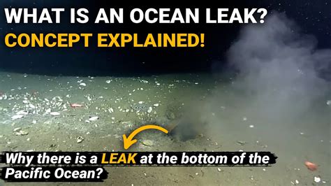 leak in pacific ocean|The Bottom of the Ocean is Leaking But Not In The。